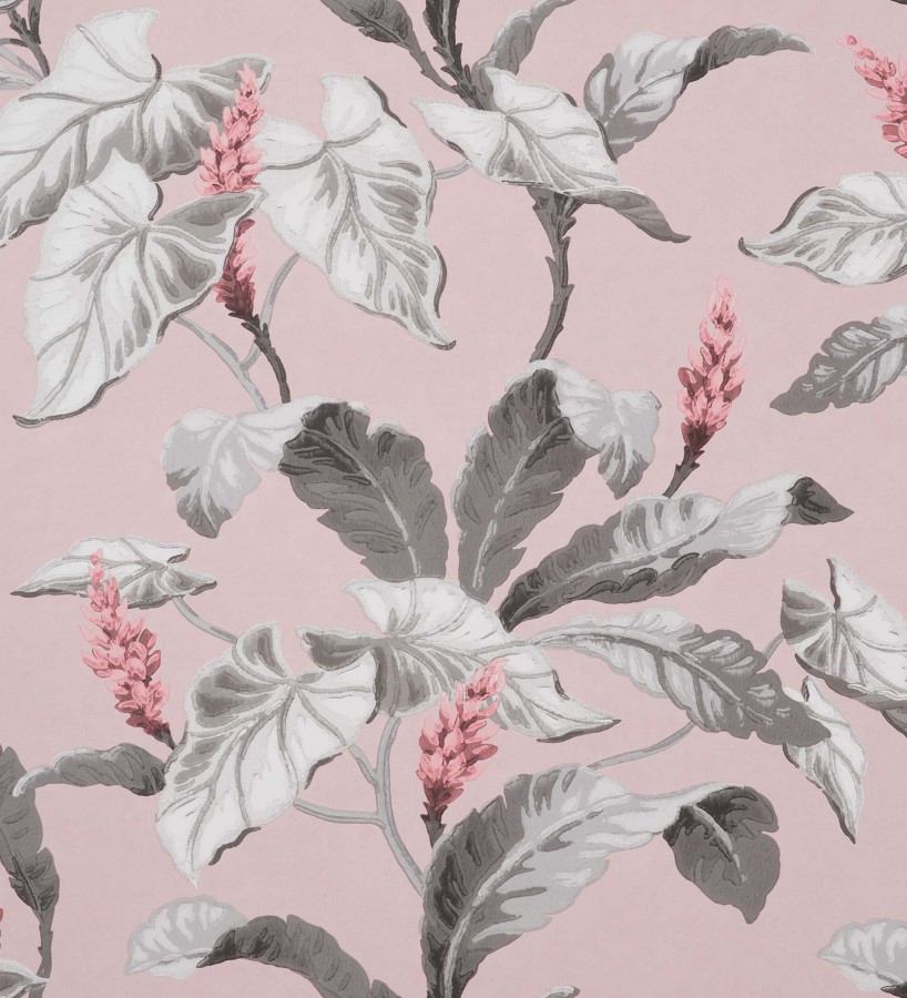 Papel pintado de flores y hojas de magnolias - Lady Magnolias 681229