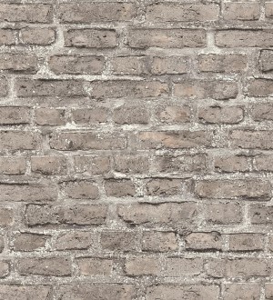 New Orleans Brick 683253